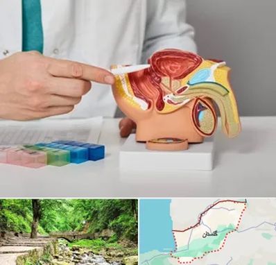 دکتر پروستات در گلستان
