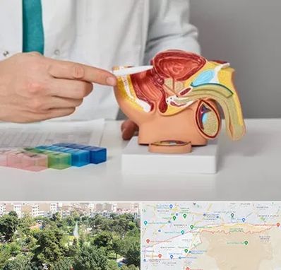 دکتر پروستات در منطقه 13 تهران 