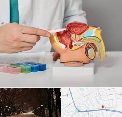 دکتر پروستات در ابوریحان تبریز