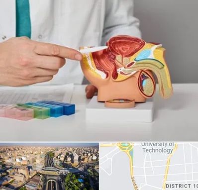 دکتر پروستات در استاد معین 