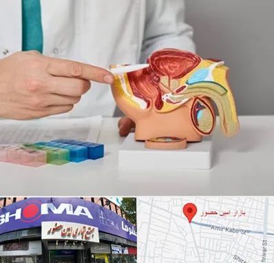 دکتر پروستات در امین حضور