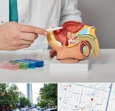 دکتر پروستات در امامت مشهد 