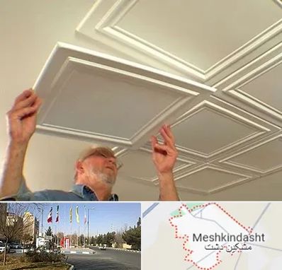 سقف کاذب ارزان در مشکین دشت