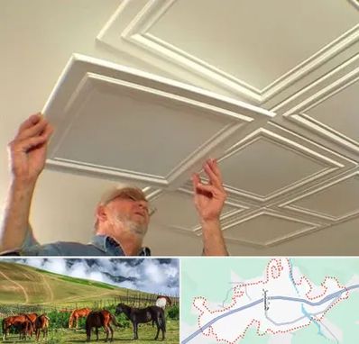 سقف کاذب ارزان در تالش