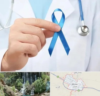 دکتر سرطان بیضه در شیروان