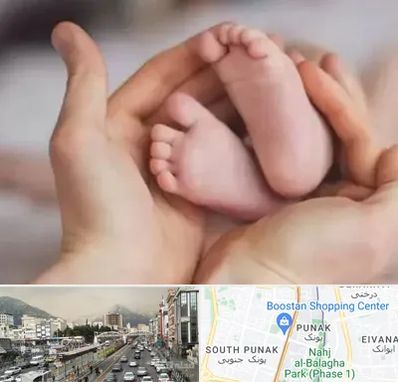 دكتر ناباروری در پونک 