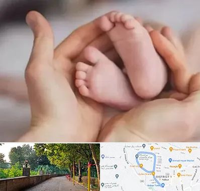 دكتر ناباروری در بلوار گیلان رشت 