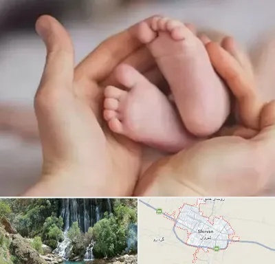 دكتر ناباروری در شیروان