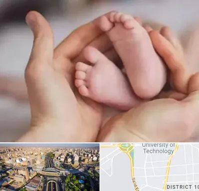 دكتر ناباروری در استاد معین 