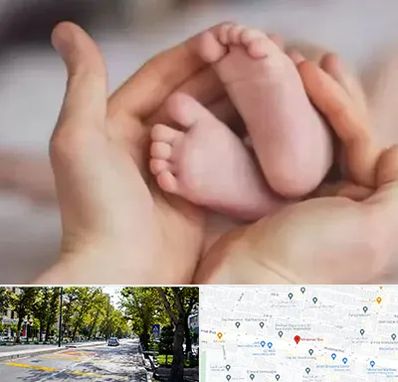 دكتر ناباروری در میرداماد 