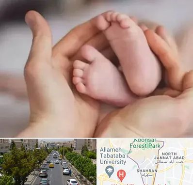 دكتر ناباروری در شهران 