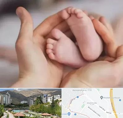 دكتر ناباروری در شهر زیبا 