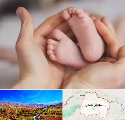 دكتر ناباروری در خراسان شمالی
