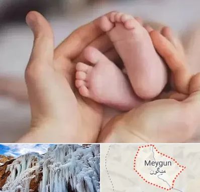 دكتر ناباروری در میگون