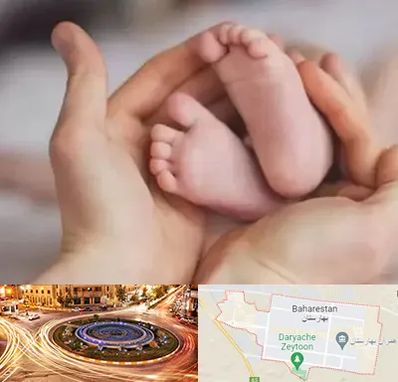 دكتر ناباروری در بهارستان