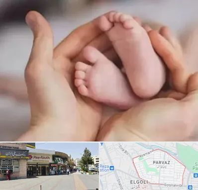 دكتر ناباروری در پرواز تبریز