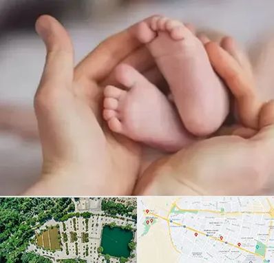 دكتر ناباروری در وکیل آباد مشهد 