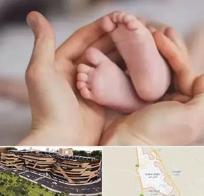 دكتر ناباروری در شاهین شهر