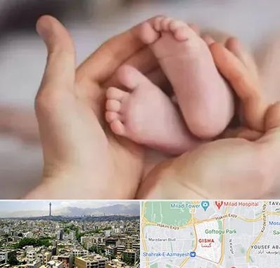 دكتر ناباروری در گیشا 