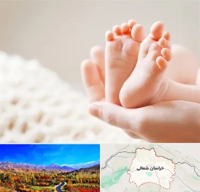 دكتر نازایی در خراسان شمالی