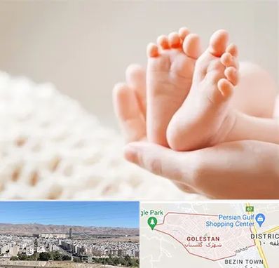 دكتر نازایی در شهرک گلستان شیراز 