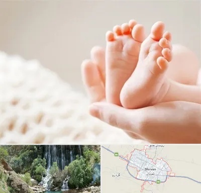 دكتر نازایی در شیروان