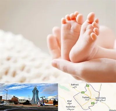 دكتر نازایی در تایباد