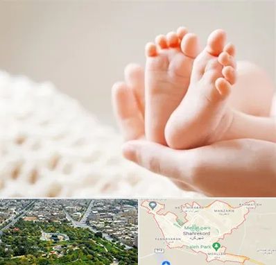 دكتر نازایی در شهرکرد