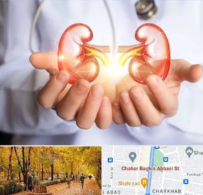 دکتر اورولوژی کودکان در چهارباغ اصفهان 