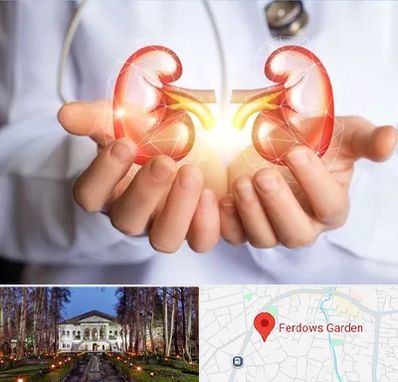 دکتر اورولوژی کودکان در باغ فردوس