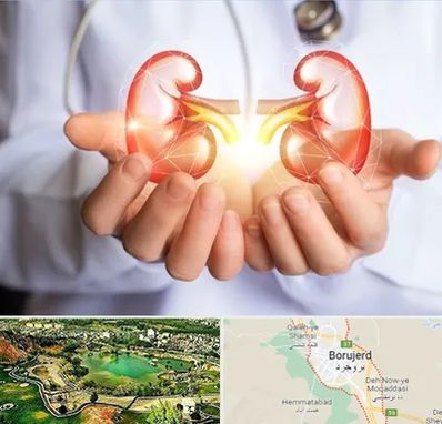 دکتر اورولوژی کودکان در بروجرد