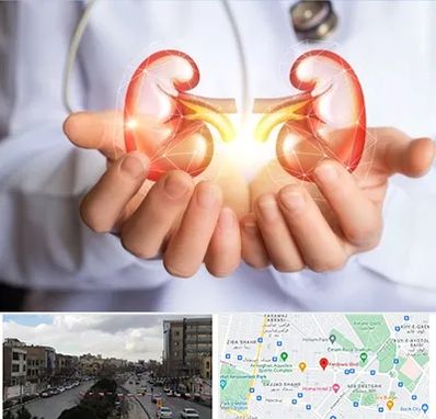 دکتر اورولوژی کودکان در بلوار فردوسی مشهد 