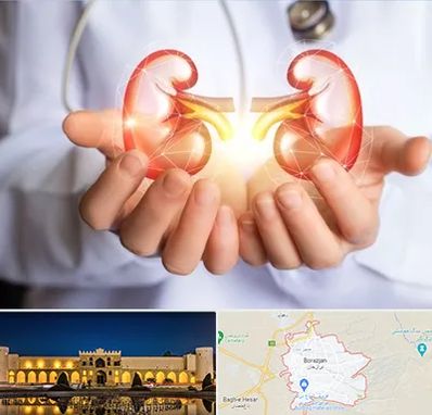 دکتر اورولوژی کودکان در برازجان
