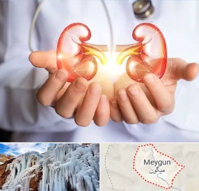 دکتر اورولوژی کودکان در میگون