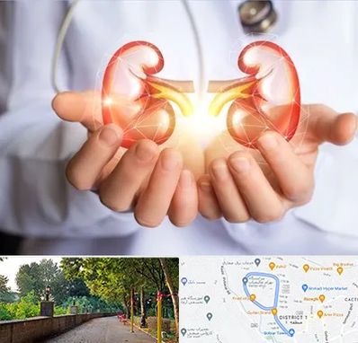 دکتر اورولوژی کودکان در بلوار گیلان رشت 