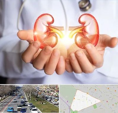 دکتر اورولوژی کودکان در احمدآباد مشهد 