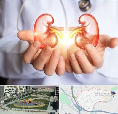 دکتر اورولوژی کودکان در مرزداران تبریز