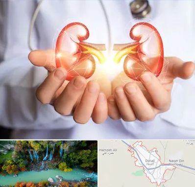 دکتر اورولوژی کودکان در دورود