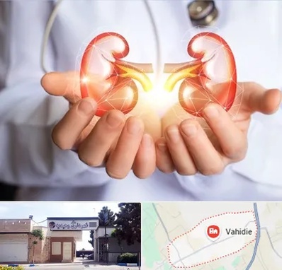 دکتر اورولوژی کودکان در وحیدیه شهریار