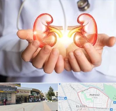 دکتر اورولوژی کودکان در پرواز تبریز