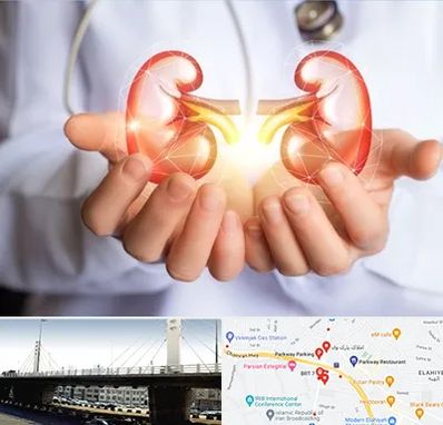 دکتر اورولوژی کودکان در پارک وی 