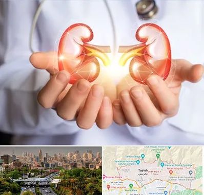 دکتر اورولوژی کودکان در منطقه 1 تهران 