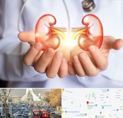 دکتر اورولوژی کودکان در خیابان آزادی 