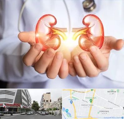 دکتر اورولوژی کودکان در بلوار فردوس 