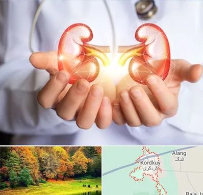 دکتر اورولوژی کودکان در کردکوی