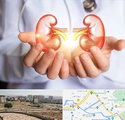 دکتر اورولوژی کودکان در کوی وحدت شیراز 