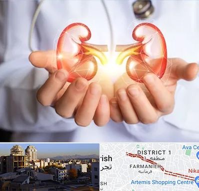 دکتر اورولوژی کودکان در فرمانیه 