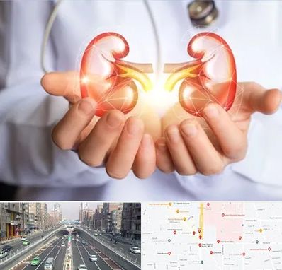 دکتر اورولوژی کودکان در توحید 