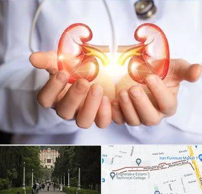 دکتر اورولوژی کودکان در بلوار معلم رشت 