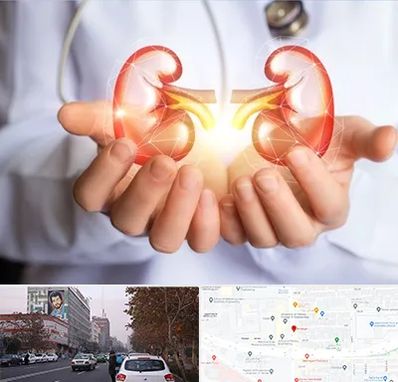 دکتر اورولوژی کودکان در کارگر شمالی 